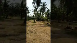 Puducherry Ocean Park