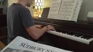 Chopin - Prelude in C Minor (op.28, no.20)