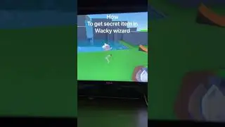 Secret wacky wizard item