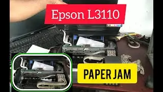 Epson L3110, L3150, L3210,L3250 printer paper jam problem solution