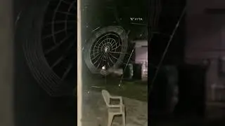 Insane #web art by a #spider caught on #cctv | #spider | #shorts | #spiderweb | #art