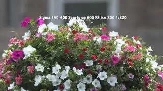 Test Sigma 150 600 Contemporary and Sports versions