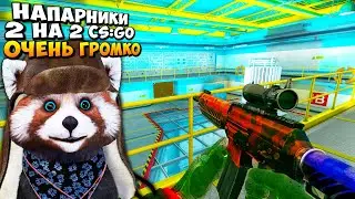 ТИМЕЙТ С СИНДРОМОМ ГРОМКОГО МИКРОФОНА - КС ГО НАПАРНИКИ #35