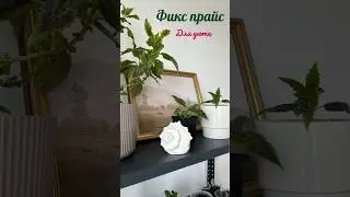 Fix price кашпо для растений #fixprice #уют #растения