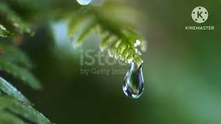 water tickling sound it seems wonderful