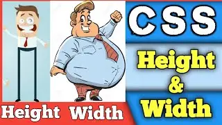 CSS height & width tutorial | Css Height and width