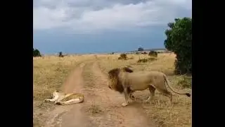Credits: KaliKenya/YT