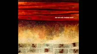 Nine Inch Nails - I Would For You (HD)