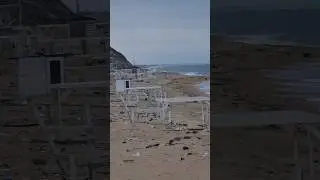 Если ктото выжил, я могу дать вам еду! 
