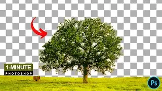1-Minute Photoshop | How to Cut Out Tree in Photoshop