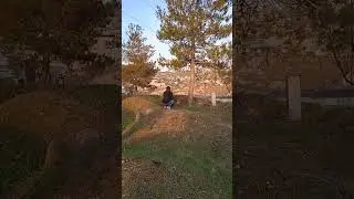 падарчон 🥺 рухат шод бод