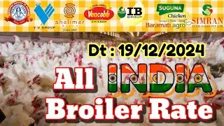 All India 🇮🇳 #BroilerRate #todaybroilerrate #todaychaickenrate #broilerchickenrate  #Dt-19/12/24