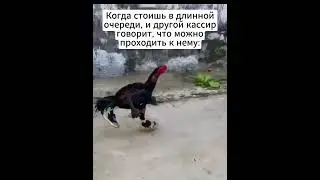 На стиле #мем #жиза #юмор #шортс