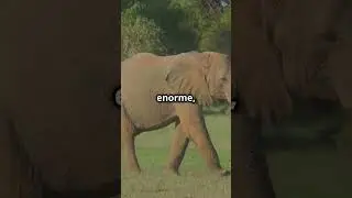 ¡El animal más poderoso del mundo según la IA!