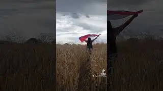 28 июля 2023 г.