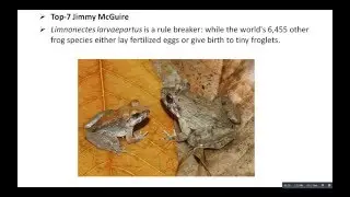 Top 10 New Species