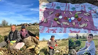 Pancar tarlasında dayılarım la sohbet muhabbet dolu bir gün
