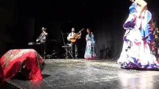 ДИАНА ПОЛЕЙ И ЦЫГАНСКИЙ ТАБОР ОЧИ ЧЁРНЫЕ(КАЛЭ ЯКА). ВЕРБА