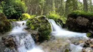 10 Hours of Relaxing Music with Calming Stream in the Background in 4k   Sleep, Meditation, Recharge
