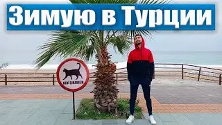 Переехал в Турцию в Солнечную Аланию на зиму / Бродяга Шевцов про Жизнь, Переезд и Отдых на море
