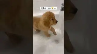 love bath time 😍😍😍
