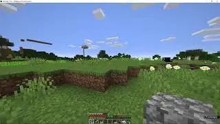 My friend made an SMP