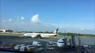 Plane Spotting at Manila Ninoy Aquino International Airport - NAIA Terminal 3 6-25-2015