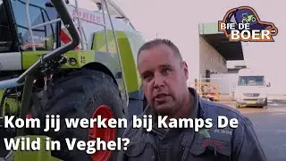 Kom jij werken bij Kamps De Wild in Veghel? | Bie de boer