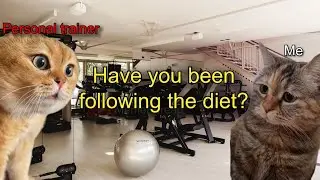 Every personal trainer with new people be like