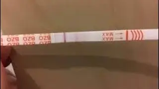 pregnancy test|| early pregnancy test|| before period pregnancy test || faint line pregnancy test