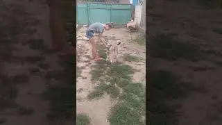 Надя и Черчиль