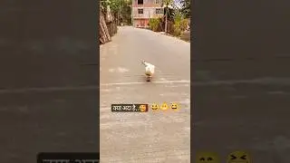 Ladkiyo ko chalne ka Tarika ll 😂 2023 ki comedy video 