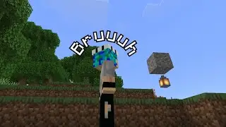Minecraft 'Bugs'....
