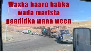 Waxka baaro habka wada  marista gaadidka waaa ween