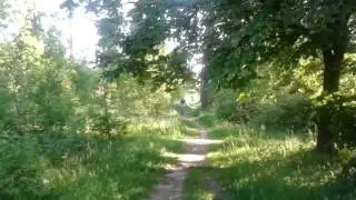Утренняя тренировка. Тоня Шилова