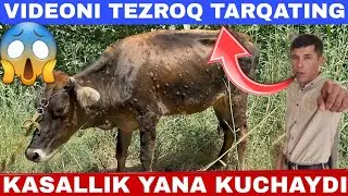 DERMATIT GUL KASALIGI DASTIM BILAN DAVOLASH JARAYONI VA TUZALGANLARI