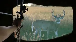 Incredible SHOT From a Hay Bale Blind!
