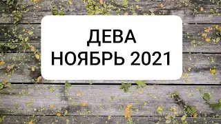 ДЕВА. НОЯБРЬ 2021 г.