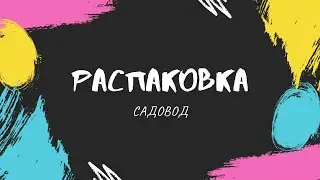 Распаковка с садовода. Новогодние подарки. Сапожки с парфюмом