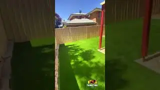 From Sand to Grass! 😍 #shorts