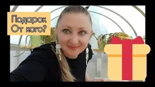 Получила Подарок 🎁                          
