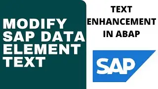 Text Enhancement | Fast Change Data Element Text | Modify Element Texts Easily