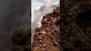 Earthworm movement in soil. 🐛