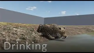 THEY CAN DRINK NOW?! | New Leopard Animations | ROBLOX: Wild Savanna Recode