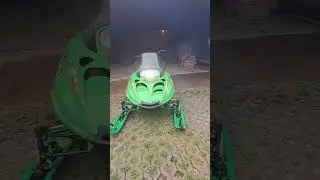 Друг купил кота одногодку)))