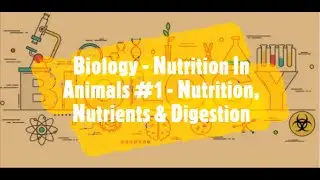 Nutrition, Nutrients & Digestion | Nutrition in Animals | Part - 1 | Biology