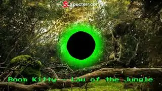Boom kitty - Law of the Jungle
