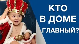 Причины плохого поведения ребенка