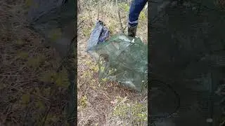 Рыбалка на карьерах раколовками