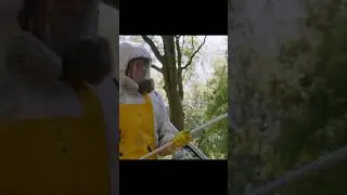 Семью в путешествии начинает преследовать минивэн 😨